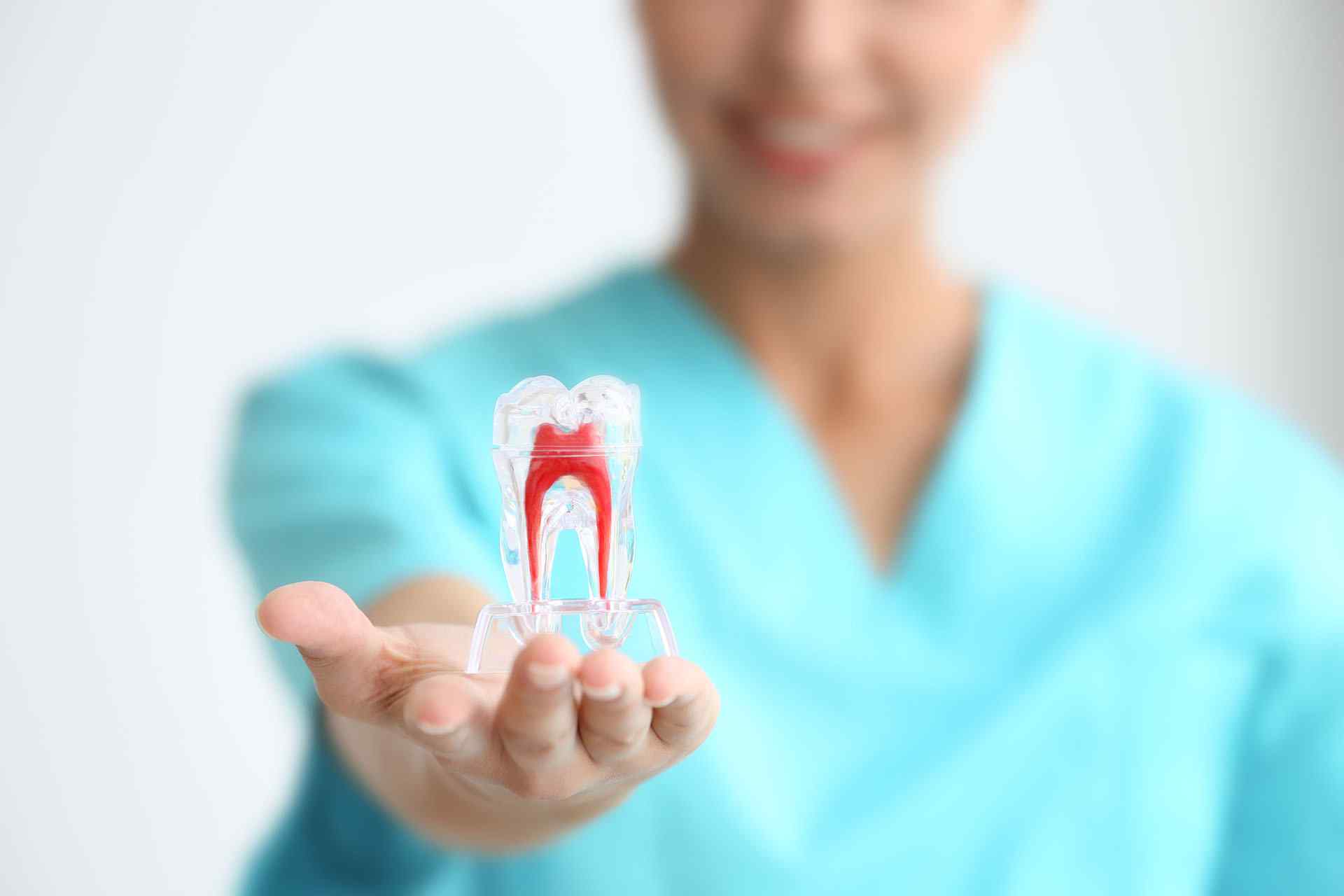 https://dianelladental.com.au/wp-content/uploads/2020/02/background_about_us.jpg